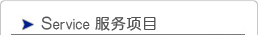 永辉堵漏主服务项目